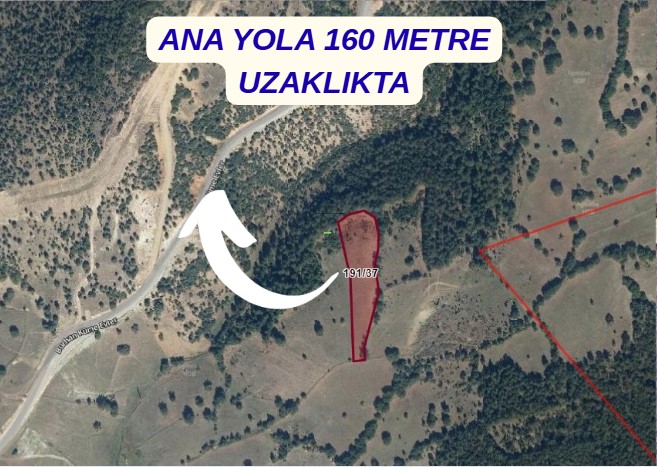 KÜTAHYA TAVŞANLI ELMAAĞACI KÖYÜNDE 5.422 M² TARLA SATILIKTIR. - KÜTAHYA TAVŞANLI fotoğraf 6